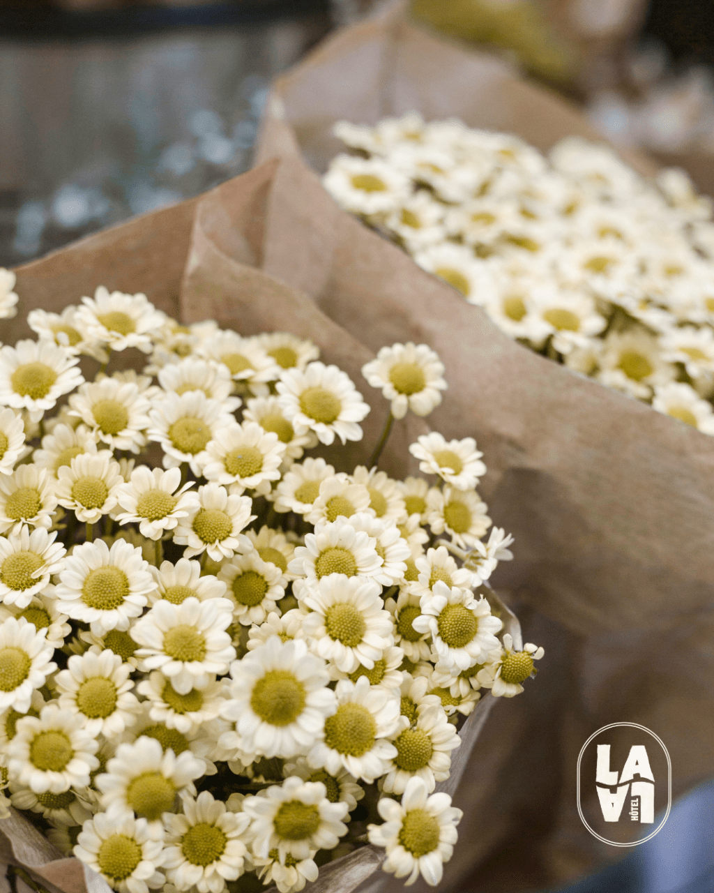 LALA Instants culturels - Avril