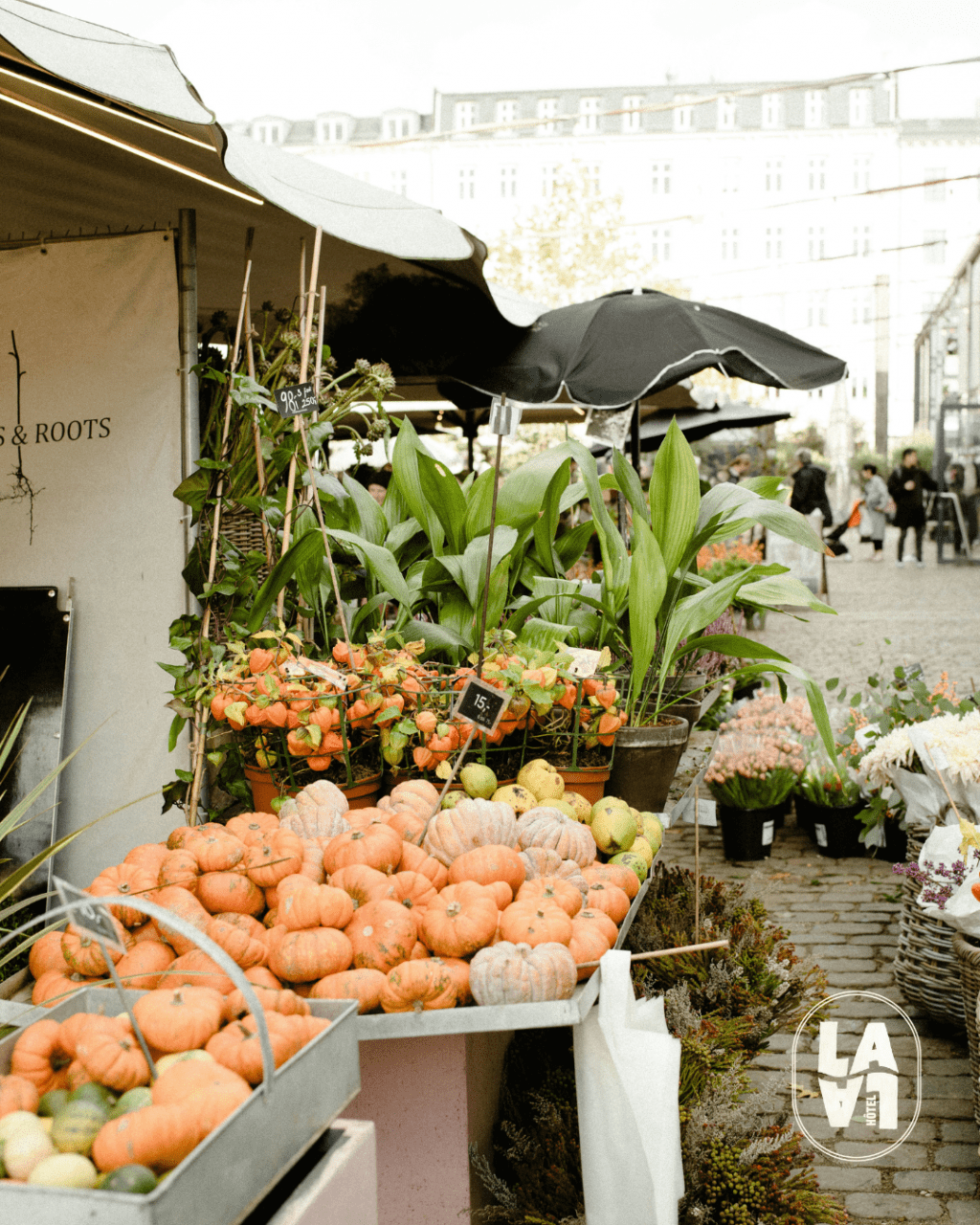 LALA Instants culturels - Novembre