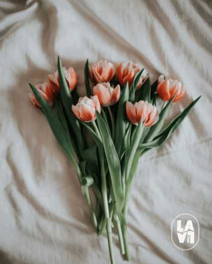 LALA Instants culturels - Mars