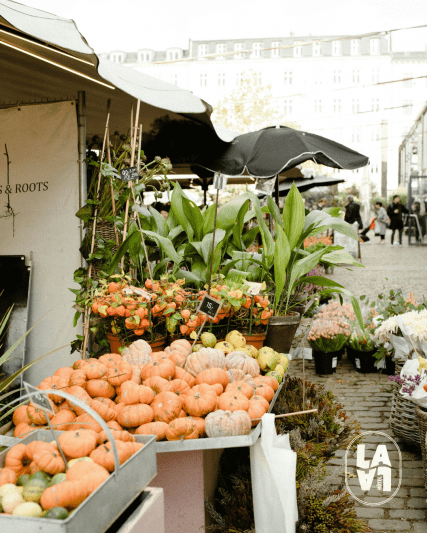 LALA Instants culturels - Novembre